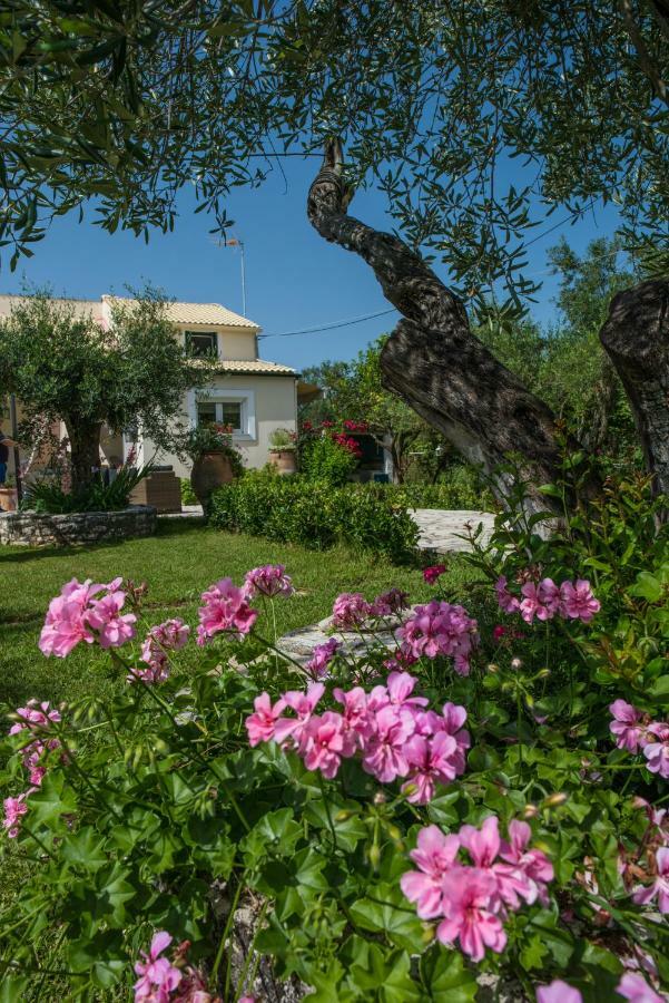 Corfu Villa Linea Línia Exterior foto